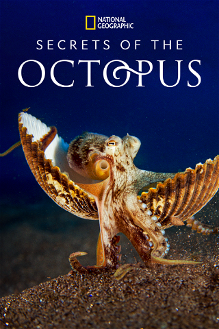 Die geheimnisvolle Welt der Oktopusse poster