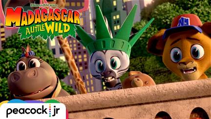 Madagascar - I 4 dell'oasi selvaggia poster