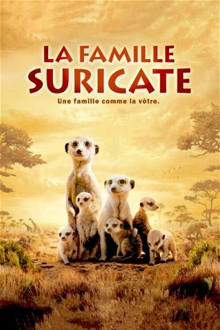 La Famille Suricate poster
