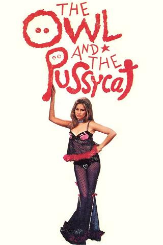 La chouette et le pussycat poster