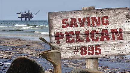 Salvando al Pelícano 895 poster