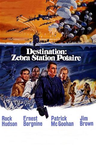 Destination : Zebra, station polaire poster