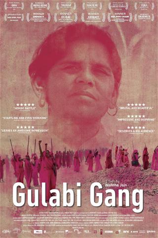 Gulabi Gang poster