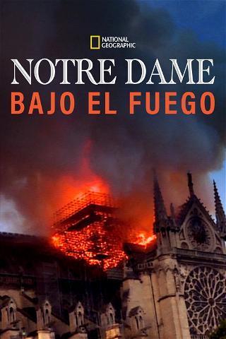 Notre-Dame : Carrera contra el infierno poster