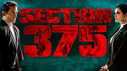 Section 375 poster