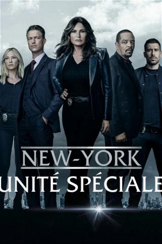 New York : Unité spéciale poster