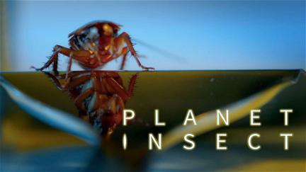 Planet Insect poster