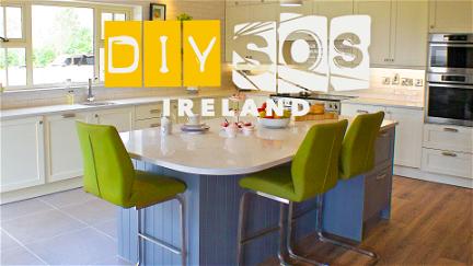 DIY SOS Ireland poster
