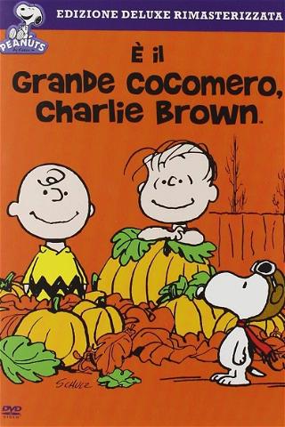 È il grande cocomero, Charlie Brown poster
