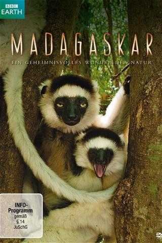 Madagaskar - Ein geheimnisvolles Wunder der Natur poster