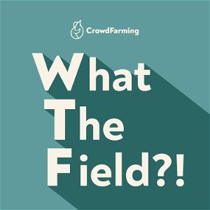 What the Field?! A podcast by CrowdFarming poster