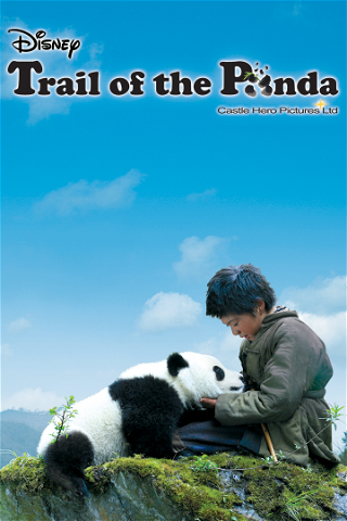Panda on the Way Home poster