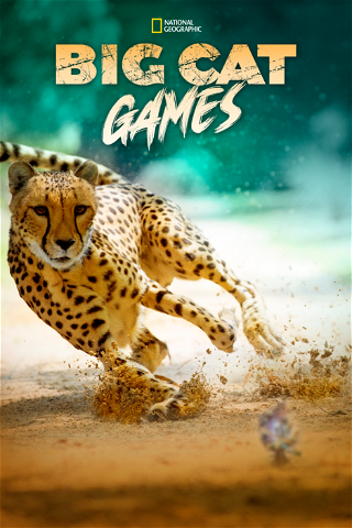 Big Cat Games poster