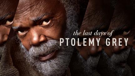 The Last Days of Ptolemy Grey poster