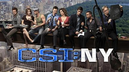 CSI: Nueva York poster