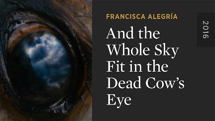 And the Whole Sky Fit in the Dead Cow's Eye poster