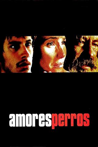 Amores Perros – Hundeliebe poster