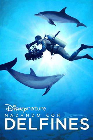 Nadando con delfines poster