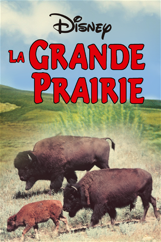 La Grande Prairie poster
