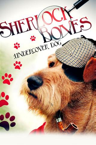 Sherlock: Undercover Dog poster