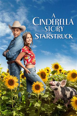 A Cinderella Story: Starstruck poster