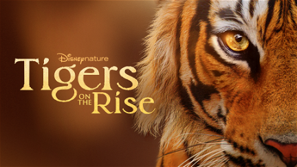 El resurgir de los tigres poster