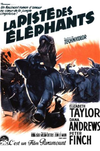 La Piste des éléphants poster