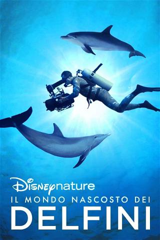 Il mondo nascosto dei delfini poster