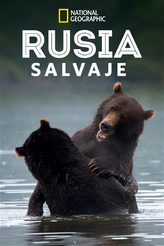 Rusia salvaje poster