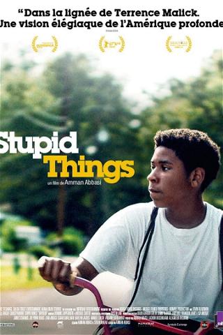 Stupid Things poster