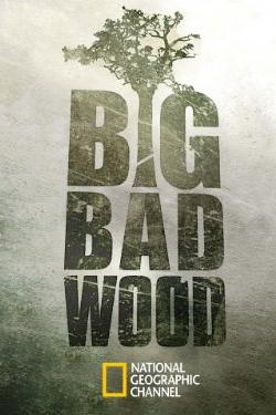 Big Bad Wood poster