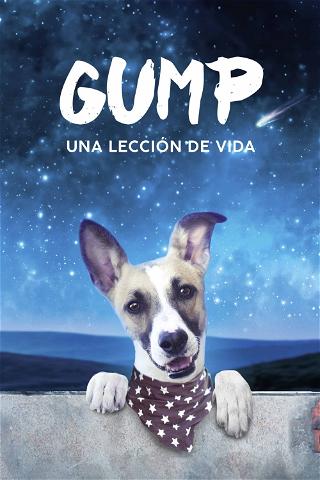 Gump - Una Lección de Vida poster