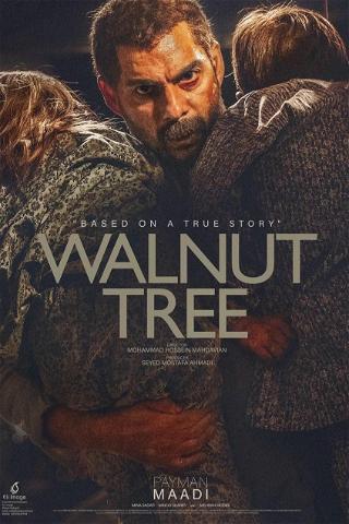 Walnut Tree poster
