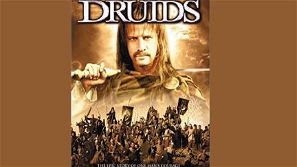 Druids poster