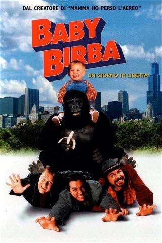 Baby Birba - Un giorno in libertà poster