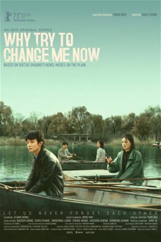 Why Try to Change Me Now poster