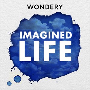 Imagined Life poster