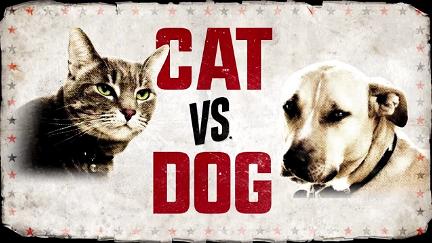 Cat vs. Dog poster