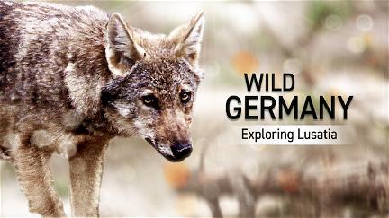 Tysklands vilda natur: Lausitz poster