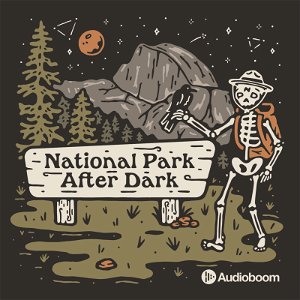 National Park After Dark poster