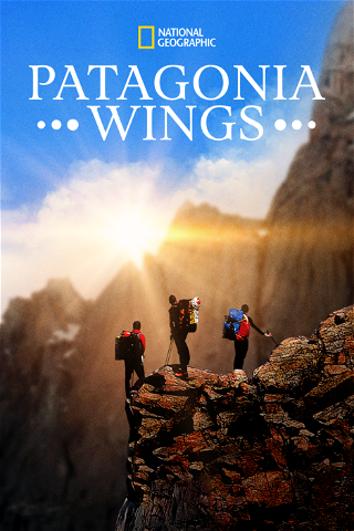 Patagonia Wings poster