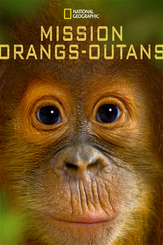 Mission orangs-outans poster