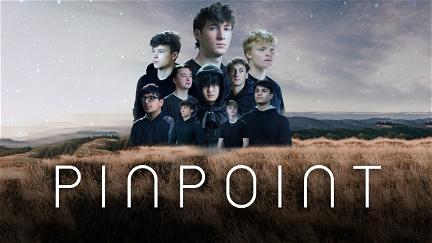 Pinpoint poster