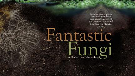 Fungos Fantásticos poster