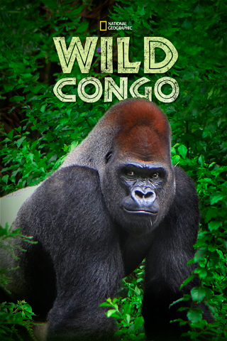Congo salvaje poster