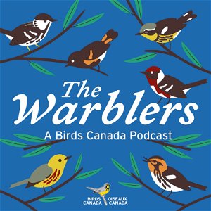 The Warblers by Birds Canada poster