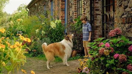 Lassie 2: Ein neues Abenteuer poster
