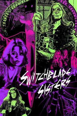The Switchblade Sisters poster