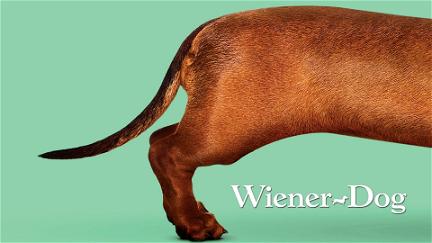 Wiener Dog poster