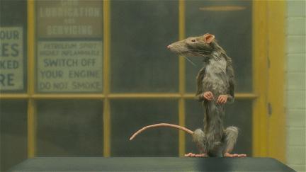 Le Preneur de rats poster